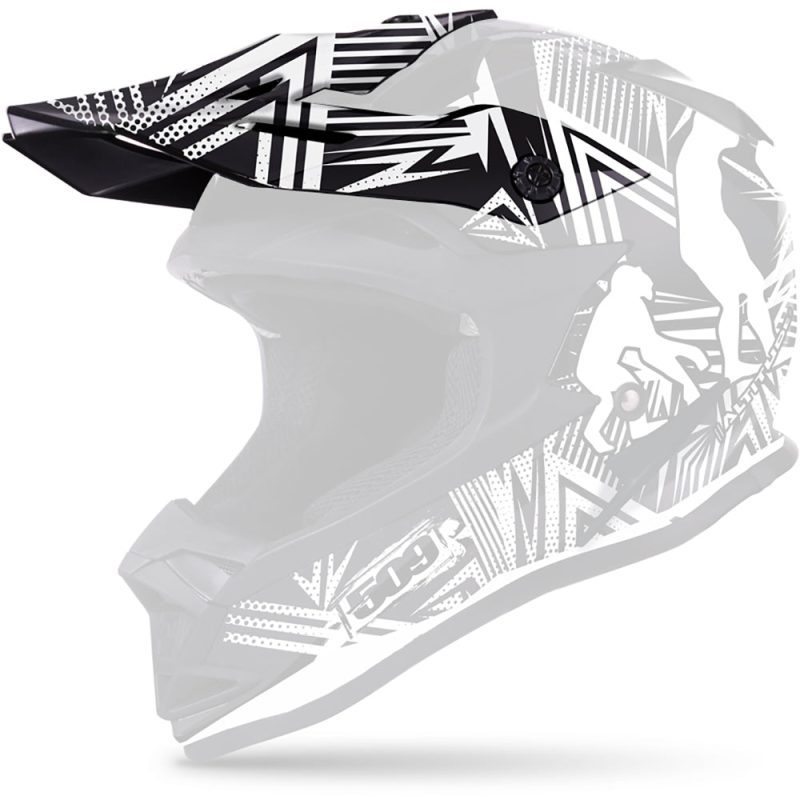 visor for altitude helmets Evolution.01